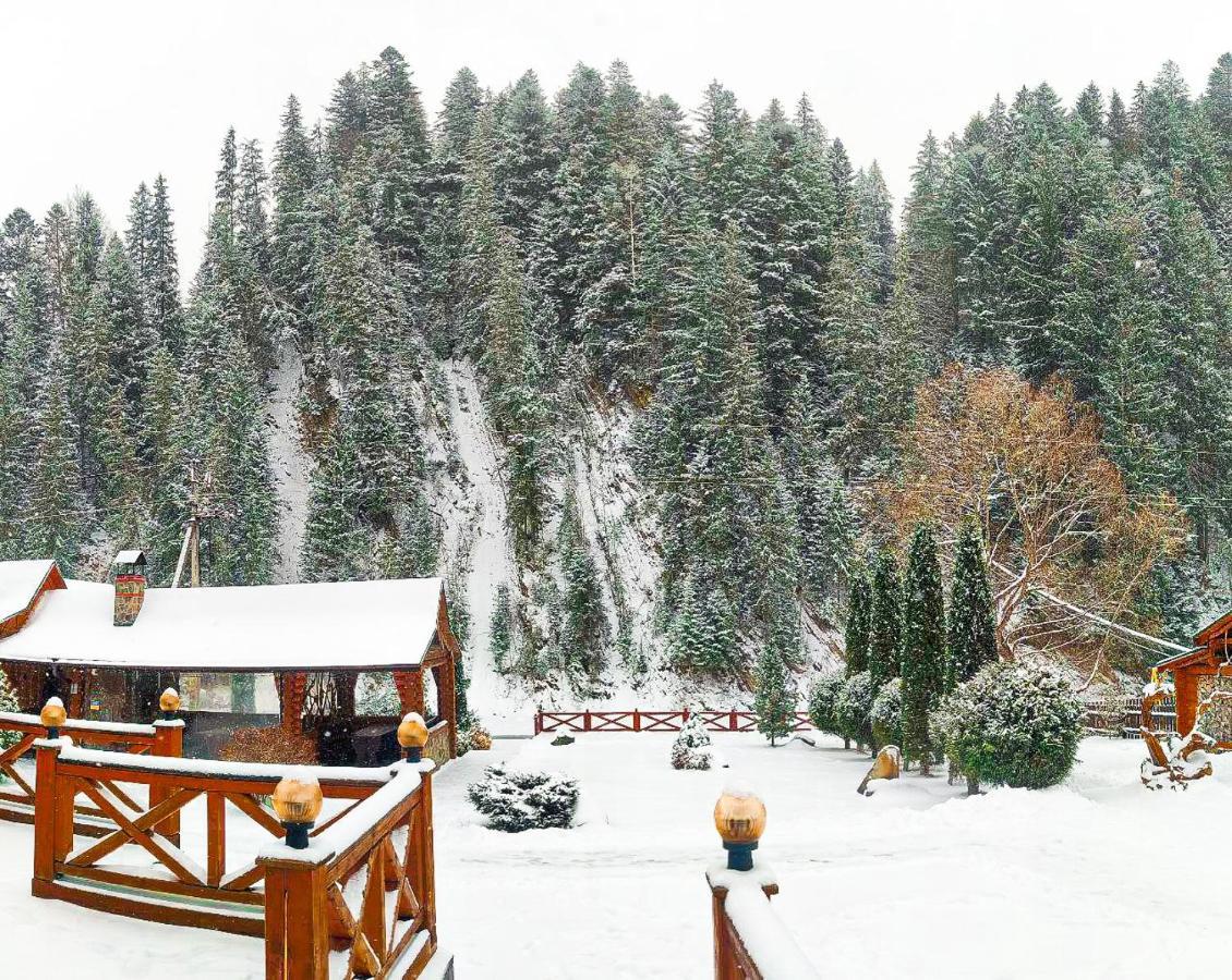 Forest House Tatariv Bagian luar foto