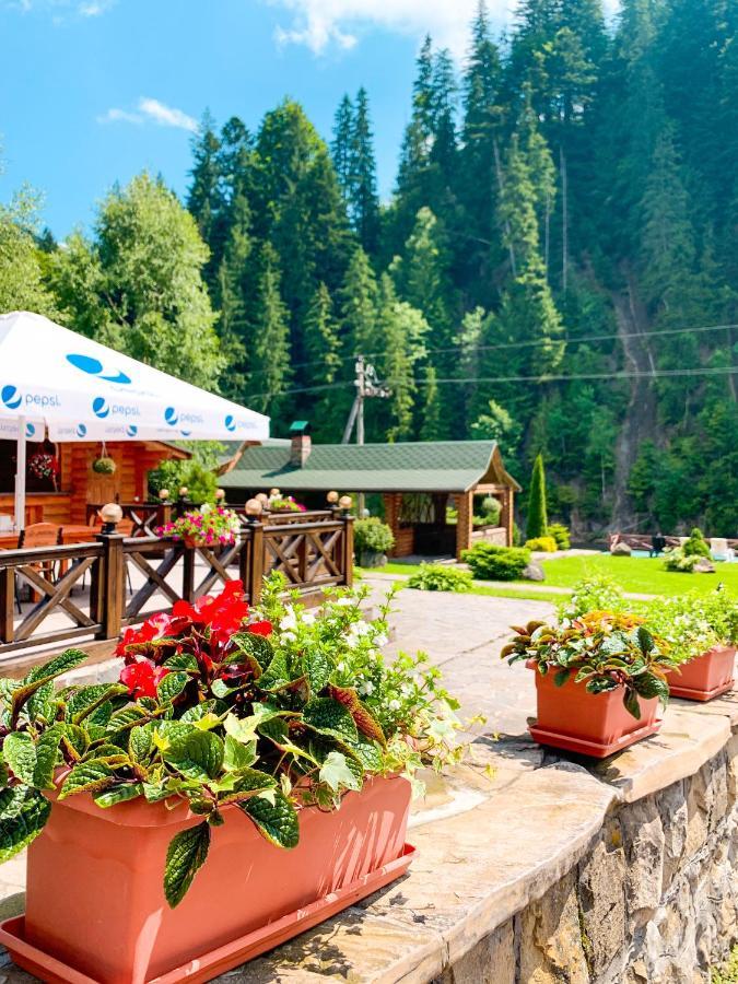 Forest House Tatariv Bagian luar foto
